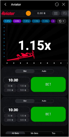 Capture d'écran du jeu mobile Aviator 1